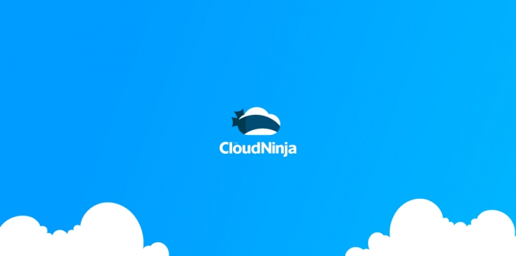Image à la une de The Cloud Ninja
